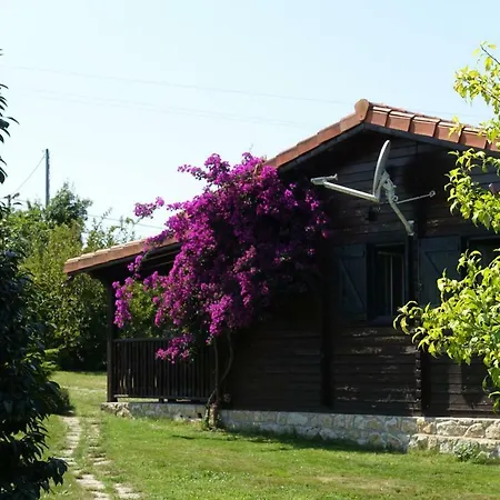 La Casa Del Carballo Pisones